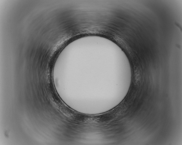 X0000103170680200809121901