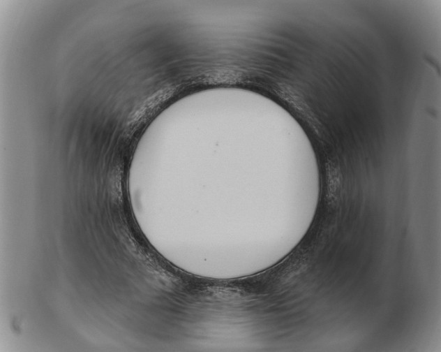 X0000103170681200809121901