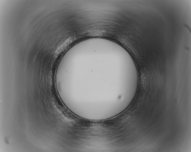 X0000103170682200809121901