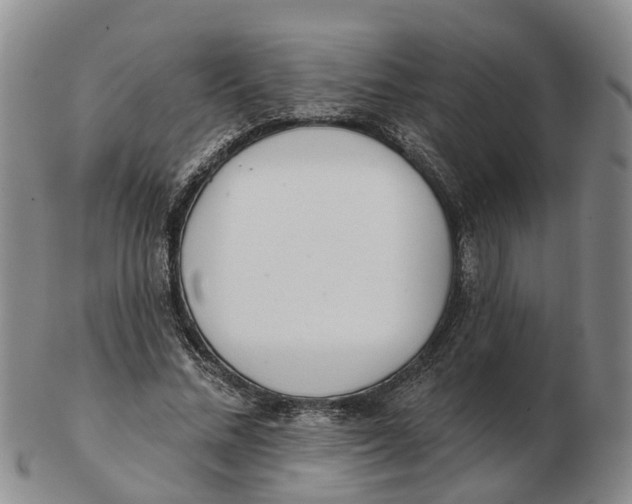 X0000103170684200809121901