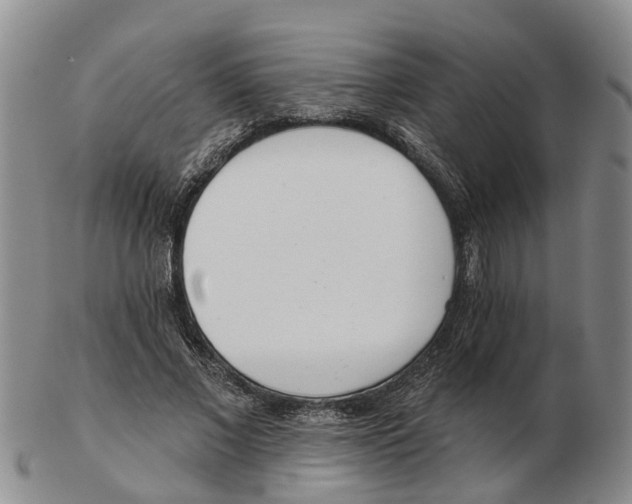 X0000103170685200809121901