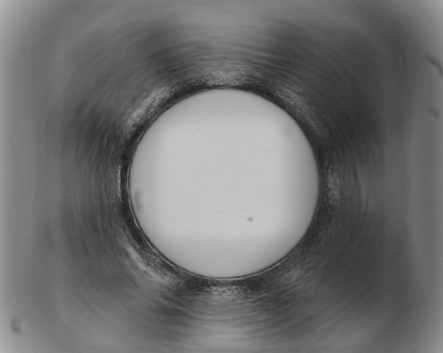 X0000103170686200809121901