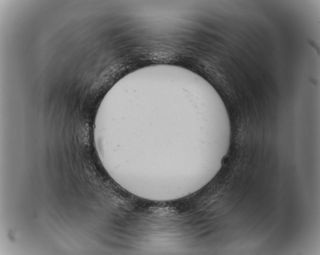 X0000103170689200809121901