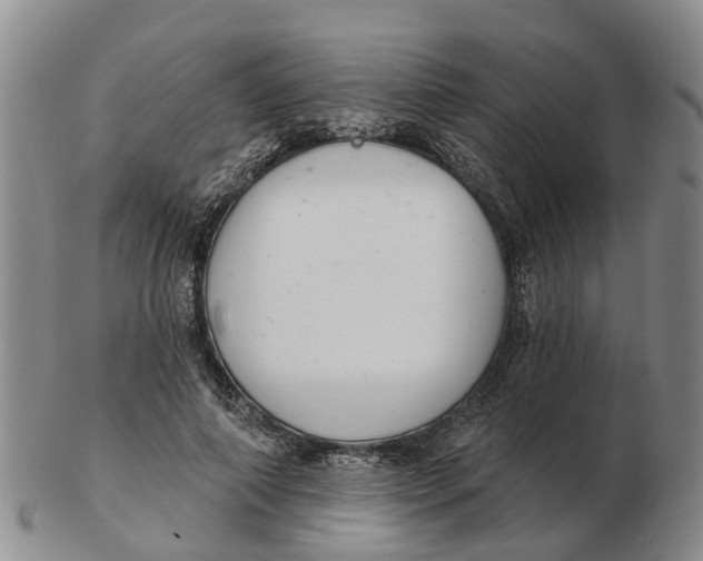 X0000103170690200809121901