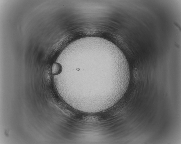 X0000103170691200809121901