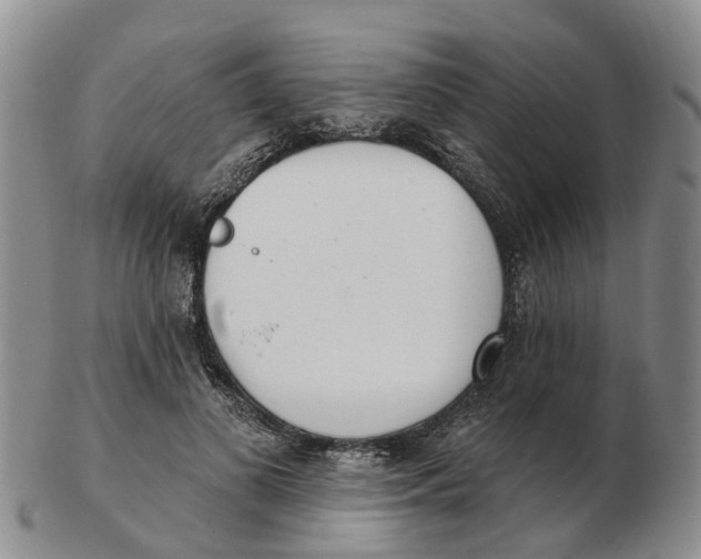 X0000103170693200809121901