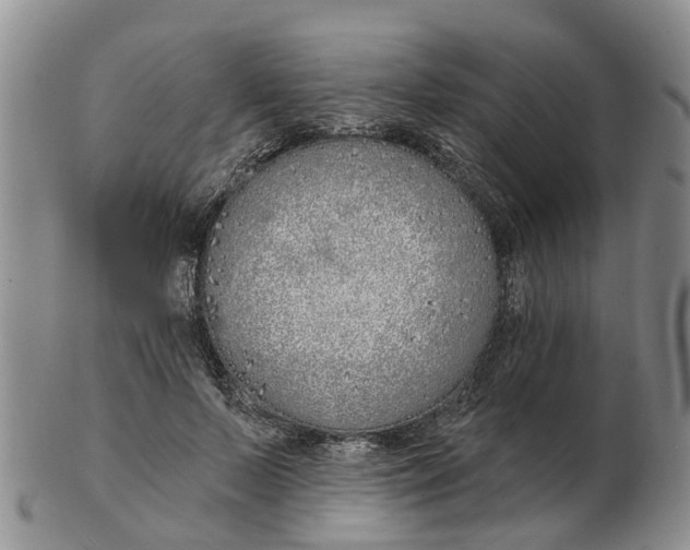 X0000103170695200809121901