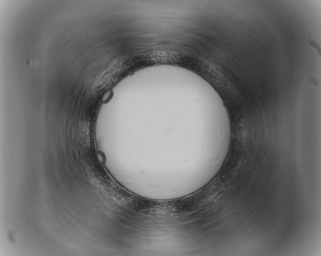 X0000103170696200809121901