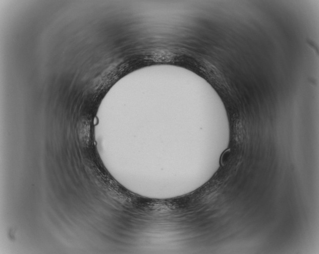 X0000103170697200809121901