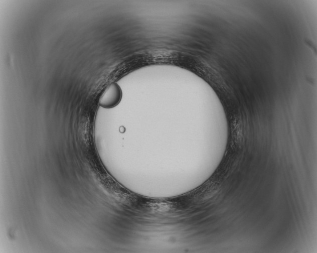 X0000103170698200809121901