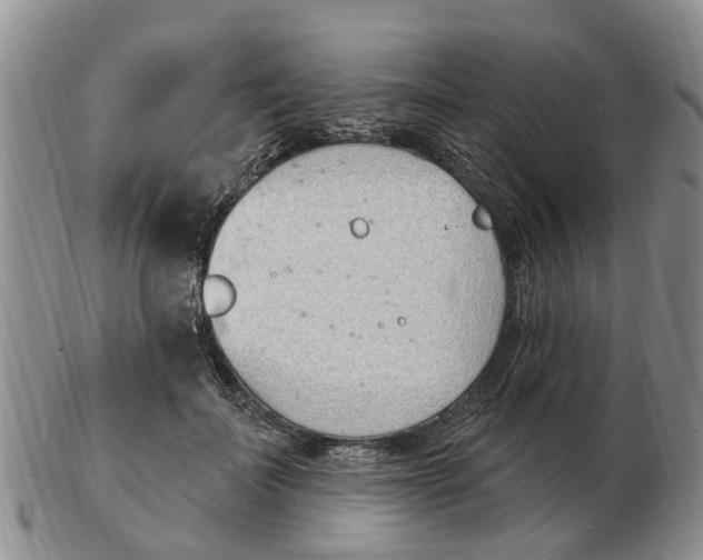 X0000103170699200809121901