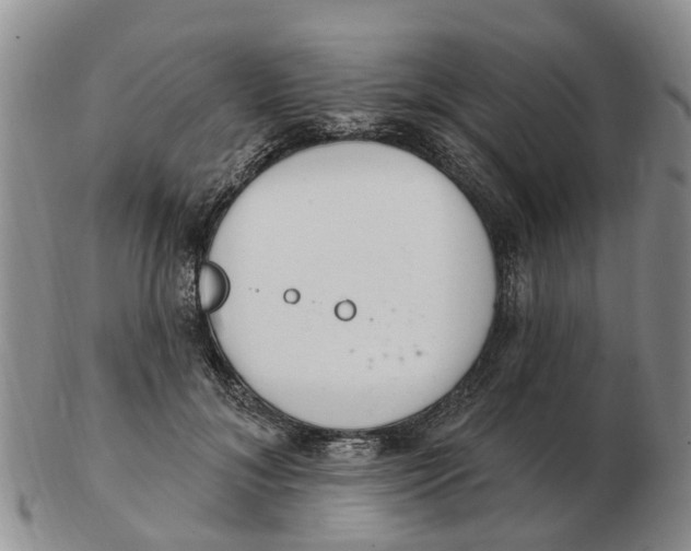 X0000103170700200809121901