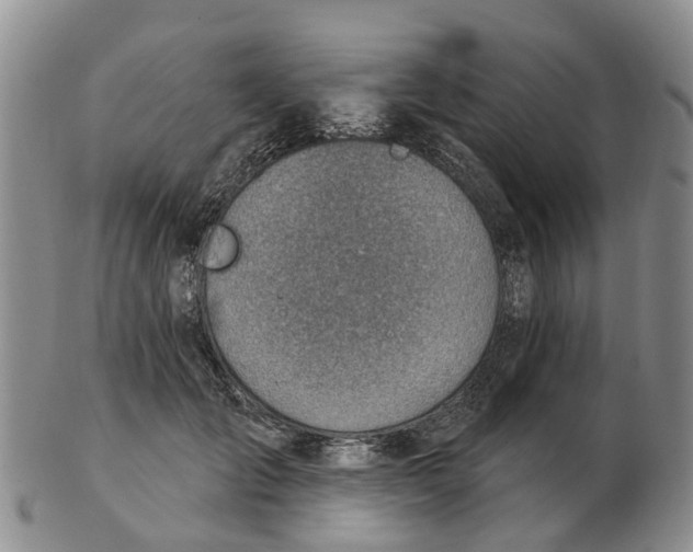 X0000103170701200809121901