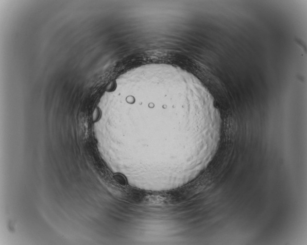 X0000103170703200809121901