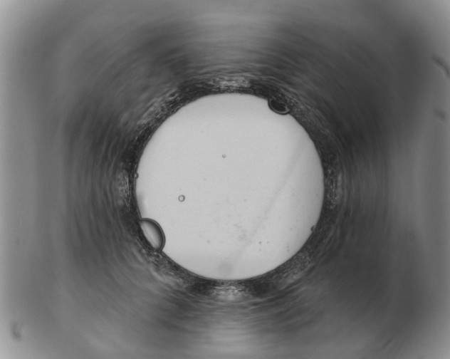 X0000103170704200809121901