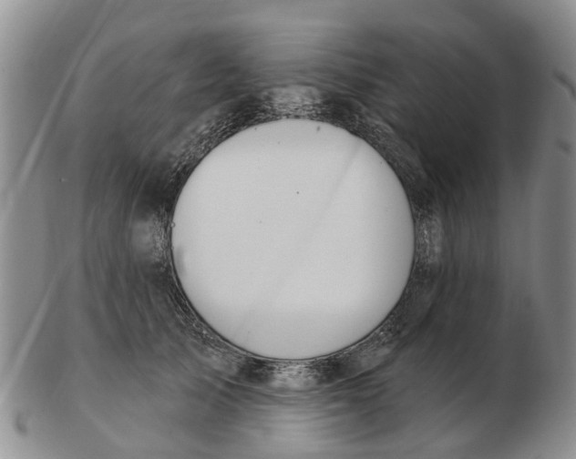 X0000103170705200809121901