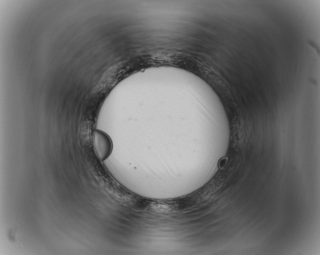 X0000103170706200809121901