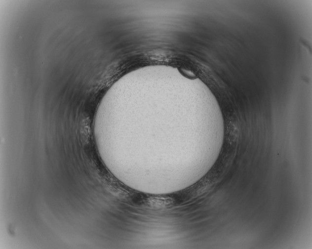 X0000103170707200809121901