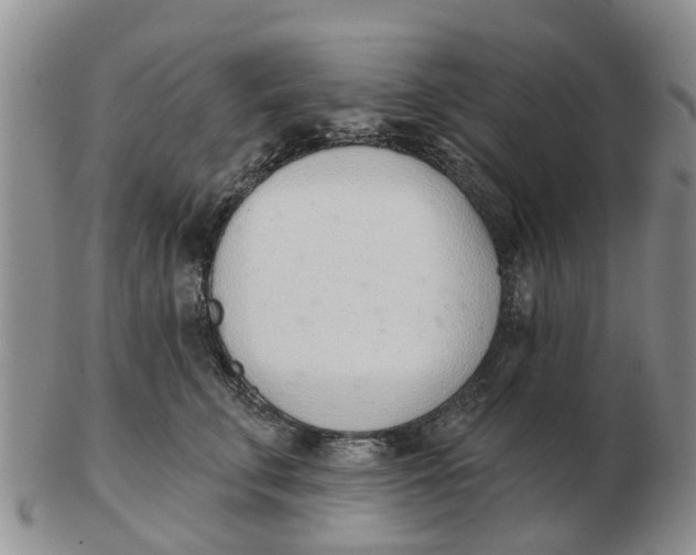 X0000103170711200809121901