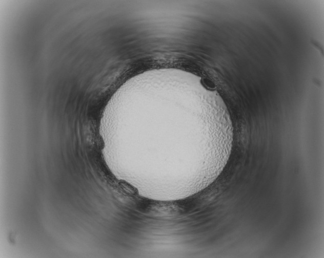 X0000103170712200809121901