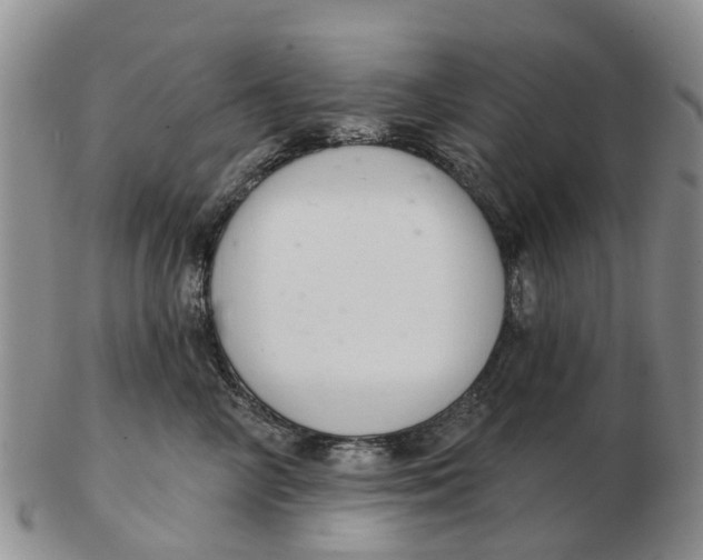 X0000103170714200809121901