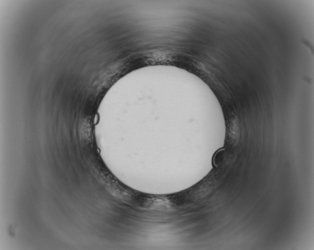 X0000103170715200809121901