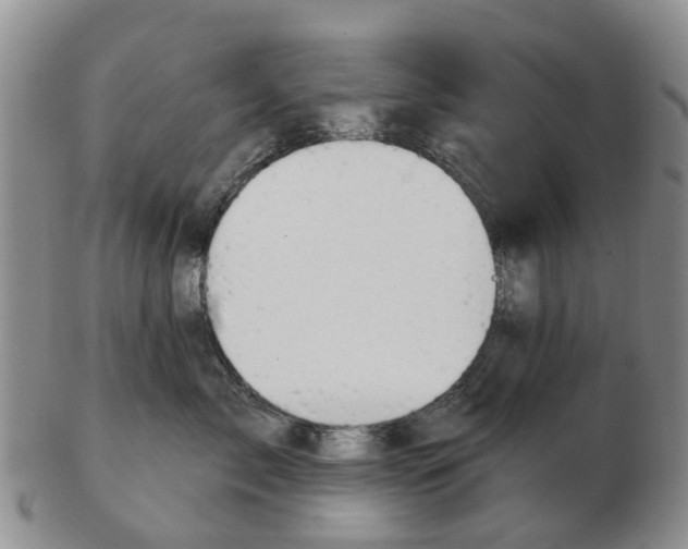 X0000103170717200809121901