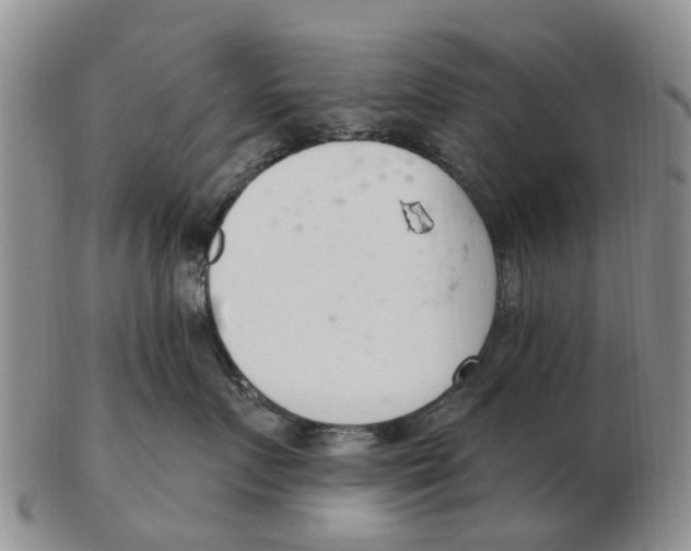 X0000103170719200809121901