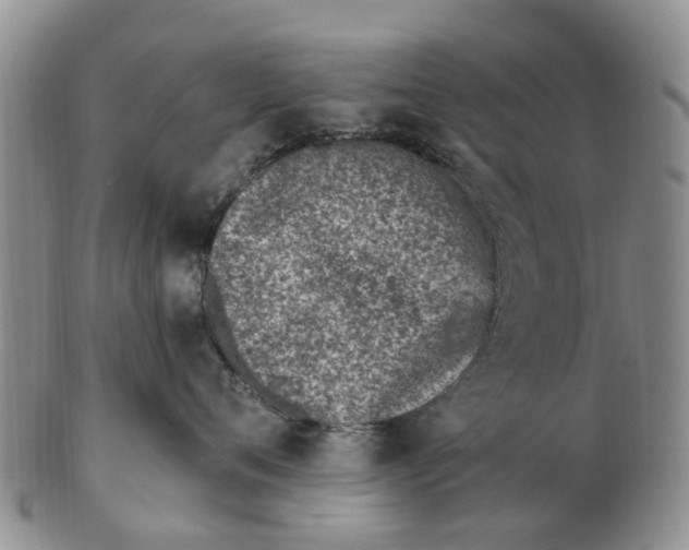 X0000103170720200809121901