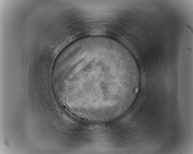 X0000103170721200809121900