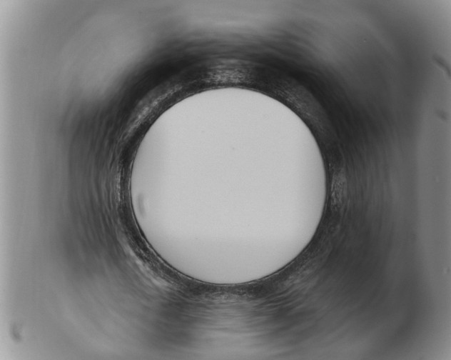 X0000103170722200809121900