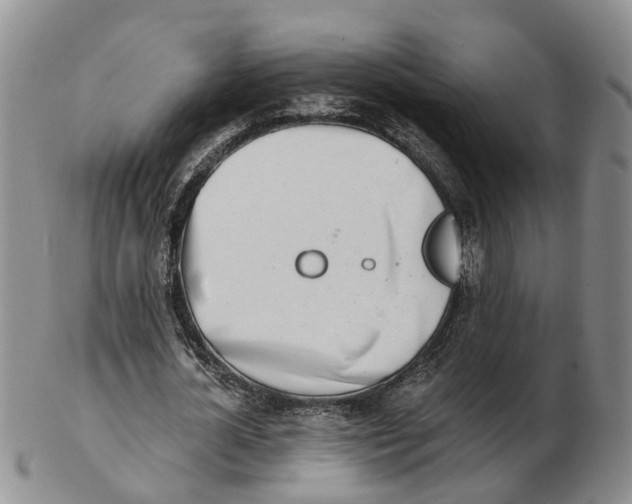 X0000103170724200809121900