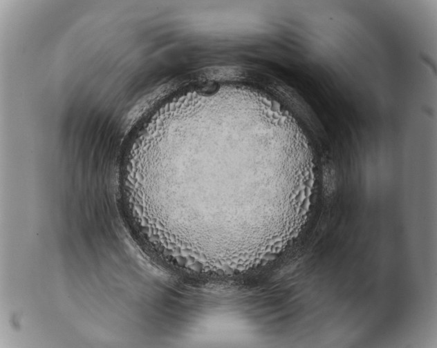 X0000103170725200809121900