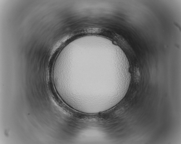 X0000103170726200809121900