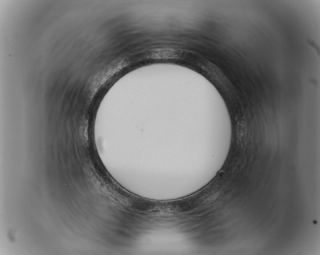 X0000103170727200809121900