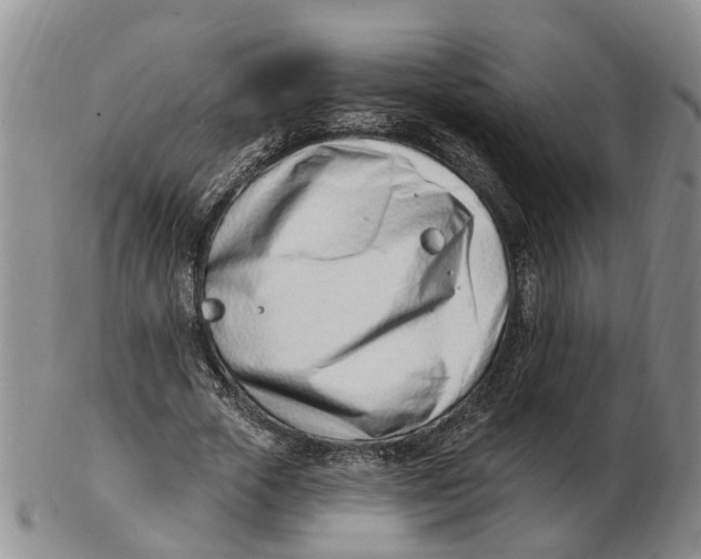 X0000103170729200809121900