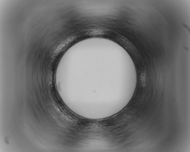 X0000103170732200809121900