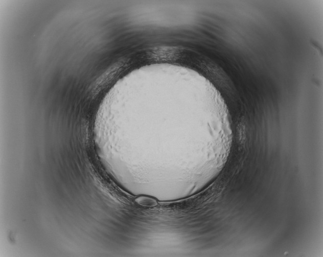 X0000103170733200809121900