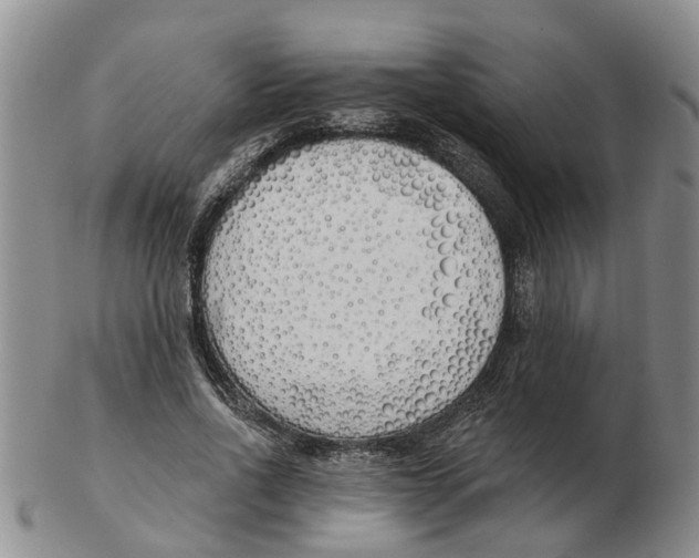 X0000103170734200809121900