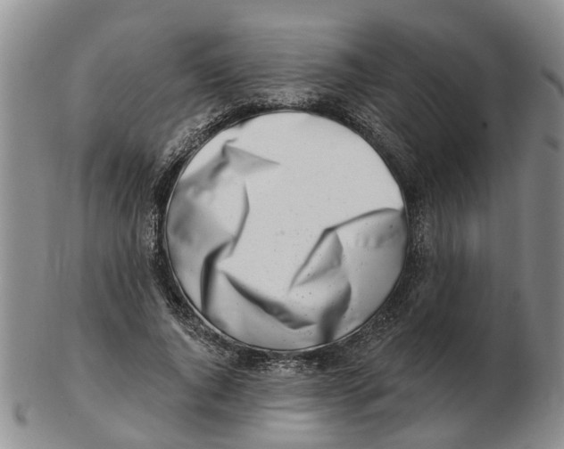 X0000103170736200809121900