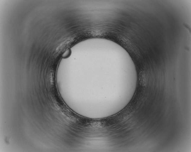 X0000103170740200809121900