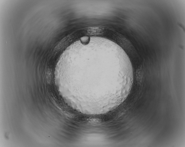 X0000103170741200809121900