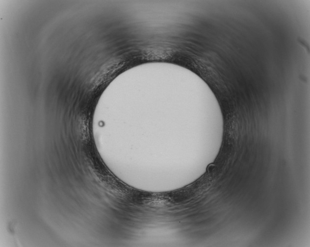 X0000103170743200809121900