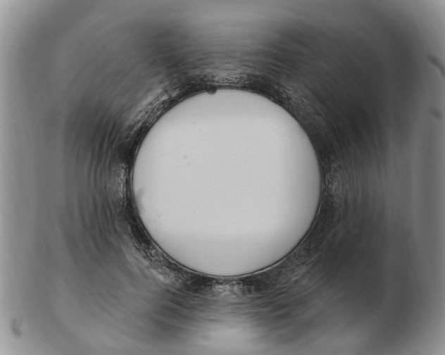 X0000103170744200809121900