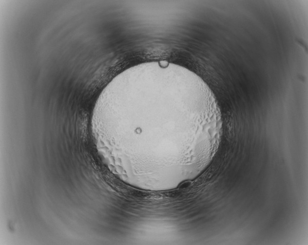 X0000103170745200809121900