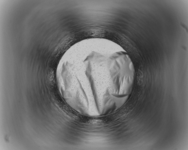 X0000103170748200809121900