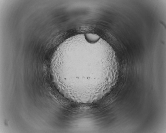 X0000103170749200809121900