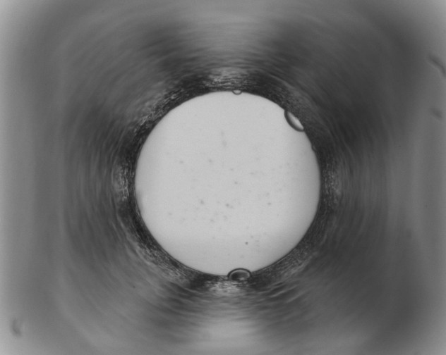 X0000103170751200809121900