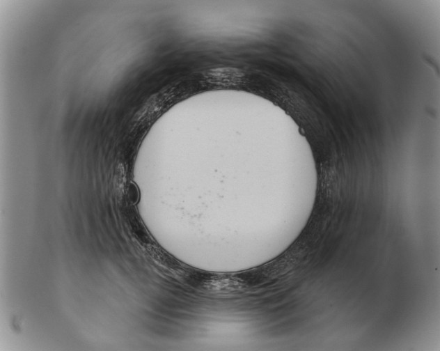 X0000103170752200809121900