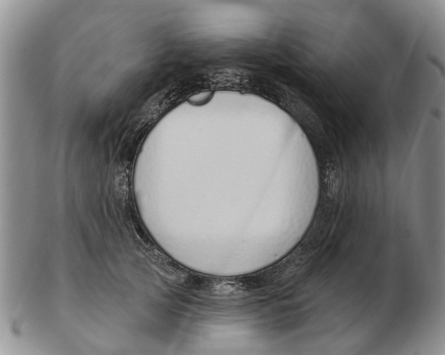 X0000103170753200809121900